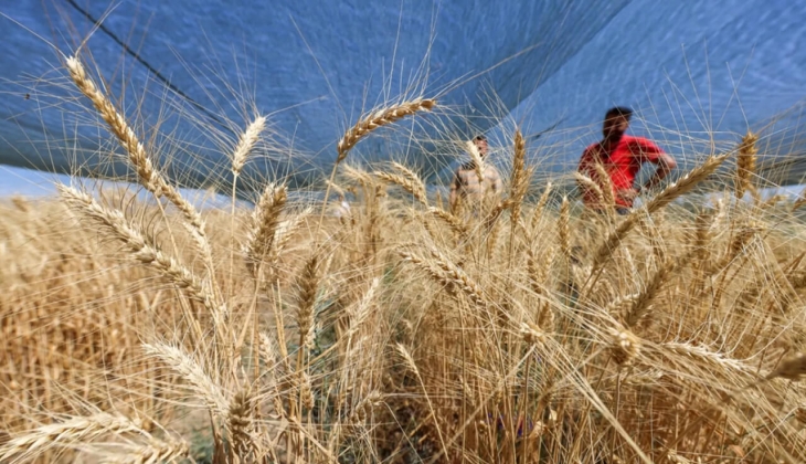 Destek takvimi ve küpe sorgulanabilecek! İşte çiftçilerin merakla beklediği TarımCebimde uygulaması