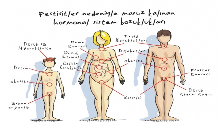 Sofralarımız tehlike saçıyor! Sebze meyve değil adeta zehir yiyoruz! İşte en fazla tarım zehiri kullanılan gıdalar!