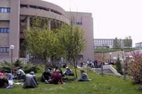 Koza Altın, Altın Koza Üniversitesi yapacak!