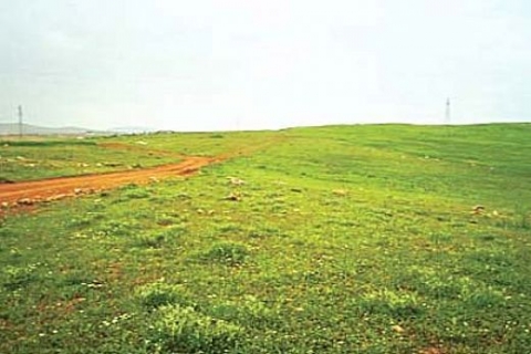 2-B arazilerinin satışını öngören kanun tasarısı TBMM'de komisyona geldi!