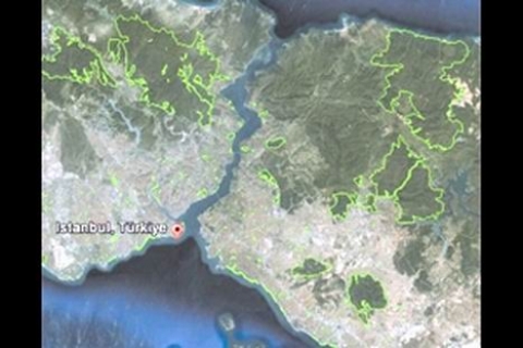 İstanbul'da orman var, park yok! 