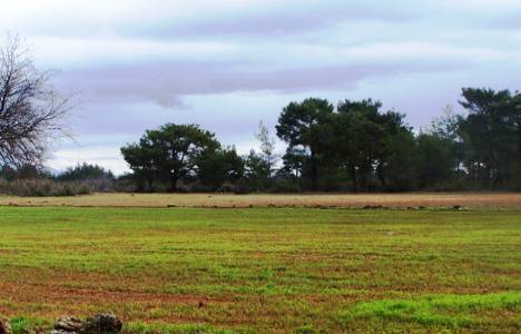 Kayseri'da satılık arsa 5 milyon liraya!