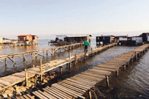 Kocaeli'nde denizkondulara balıkçılardan ilgi!