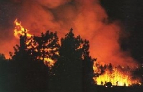  Afyonkarahisar'daki orman yangını Denizli'ye de sıçradı!