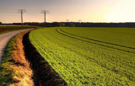  Kayseri'de 1 milyon 189 bin liraya tarla içinde bina! 