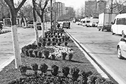 Park ve yollara bahar bakımı başladı!