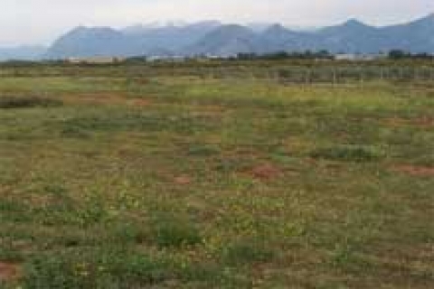 İskenderun'da 45 gayrimenkul satılacak