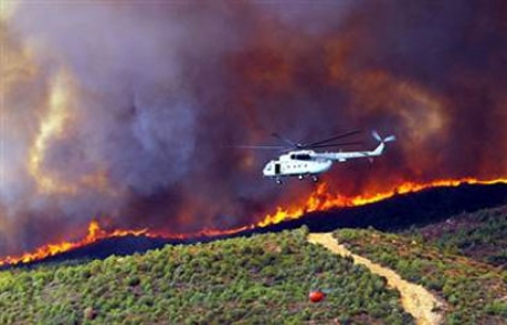  Sakarya Akyazı'da orman yangını çıktı!