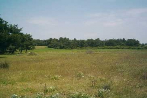 Milli Emlak, Kayseri'de 3 adet sanayi arsası satıyor! 