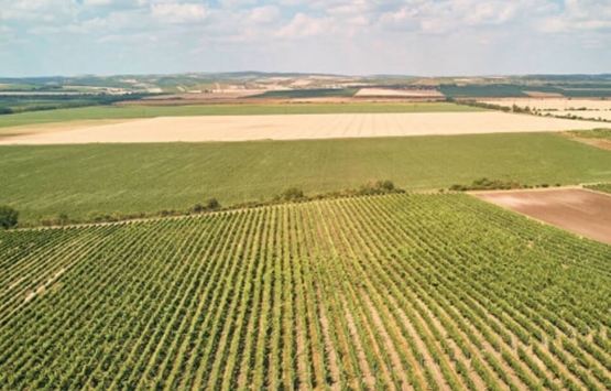 Bakırköy de 19.8 milyon TL ye icradan satılık arsa!