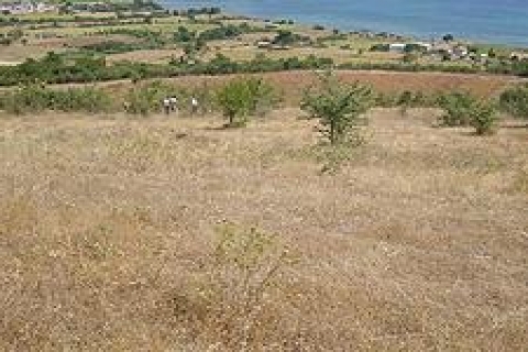 899 metrekare kiralık arsa