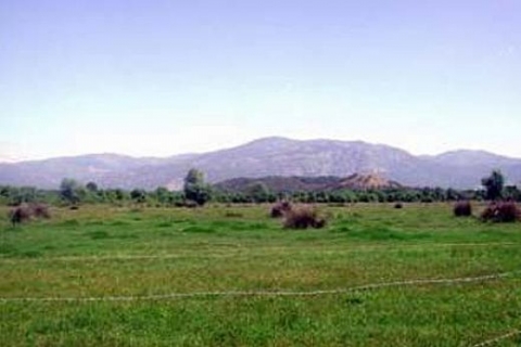 Erenler Belediyesi, 1.4 milyon TL'den arsa satıyor!