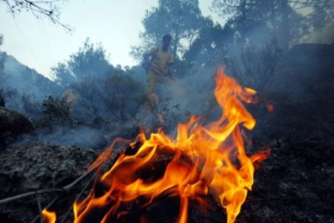  Silivri'de ormanlık alanda yangın çıktı!