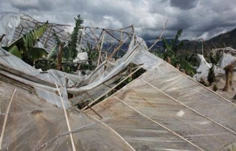 Mersin Mezitli'de 4 hayvan çiftliği yıkıldı!
