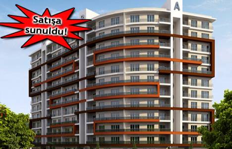  Seha Bahar Evleri Konya'da 200 bin TL'ye! Satışa çıktı! 