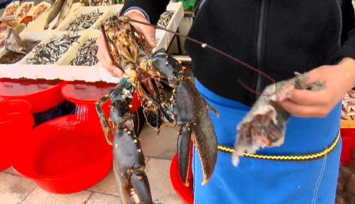 Balık fiyatları gram altınla yarışıyor! İstanbul da balık fiyatları ne durumda?