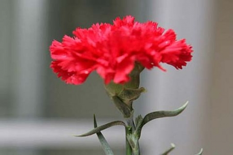 İnşaat Mühendisi Çetin Aslan vefat etti!