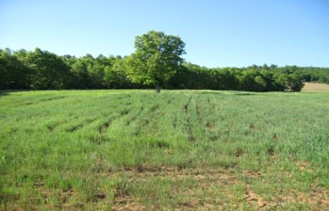  2003'ten beri 3 milyon hektar arazi toplulaştırıldı!