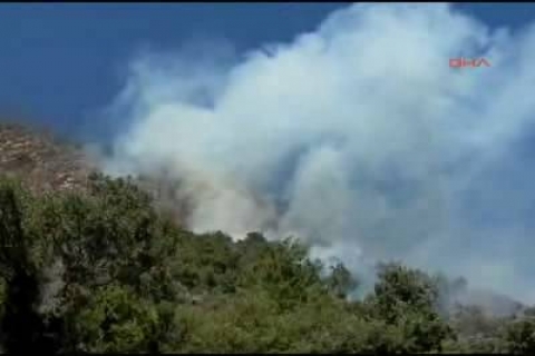 Mersin'deki çıkan orman yangınında 10 hektar orman harap oldu!