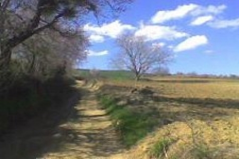 Ankara'da 4 milyon 700 bin TL'ye satılık 2 parsel!