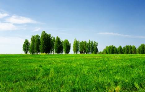 İmar durumu dilekçesi!