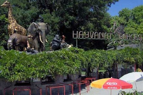 ANGİAD: Atatürk Orman Çiftliği emin ellerde!