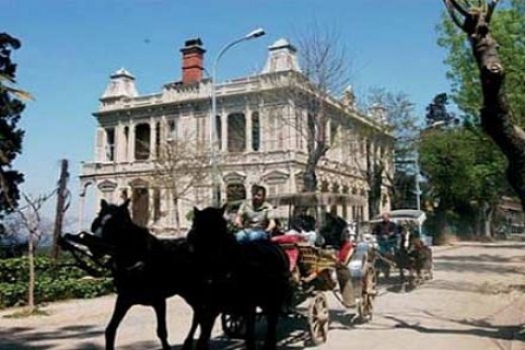 Adalar'da UKOME kararlarıyla fayton krizi patlak verdi!