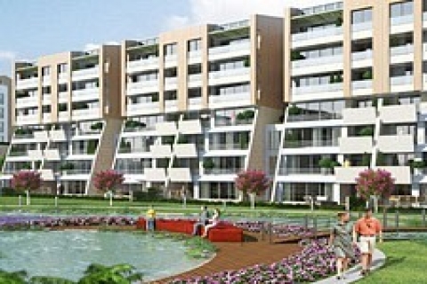 Sinpaş, Kelebekia'nın yarısını sattı