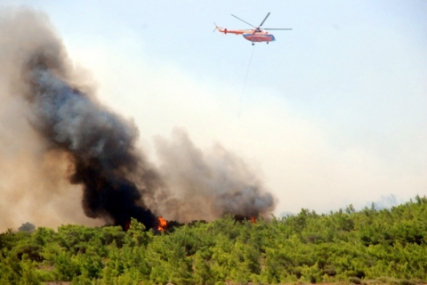 Balıkesir'deki orman yangınında 2 hektar alan zarar gördü!