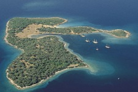 Ada sahipliği zenginliğin yeni sembolü oldu!