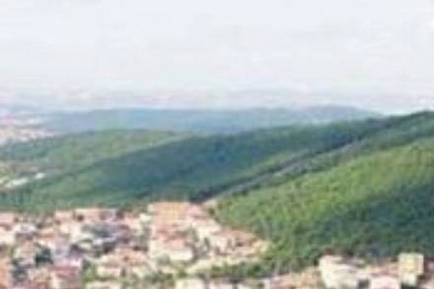 Hangi ilde ne kadar 2B arazisi var