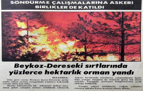 1982 yılında Beykoz da yüzlerce hektarlık orman alanı kül olmuş!