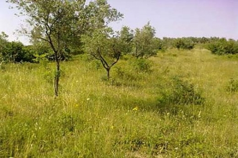 Milli Emlak, Sancaktepe'de 163 bin 552 liraya arsa satıyor!