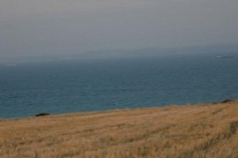 Tekirdağ'da icradan satılık 3 milyon 866 bin TL'ye arazi!