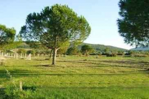 Milli Emlak Müdürlüğü, Konya'da arsa satıyor! 