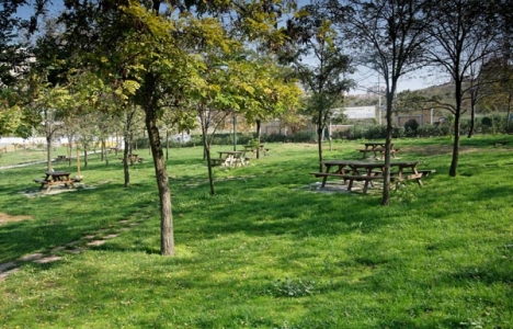 İstanbulluların sadece 6 metrekarelik yeşil alanı var!