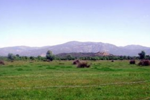 Milli Emlak'tan 4 bin YTL'ye satılık arsa