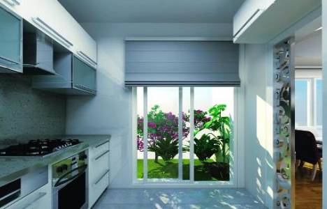 Golden Life resimleri , görselleri , fotoğrafları!