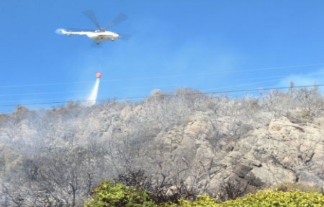  Alanya'daki yangında 100 hektardan fazla alan zarar gördü!