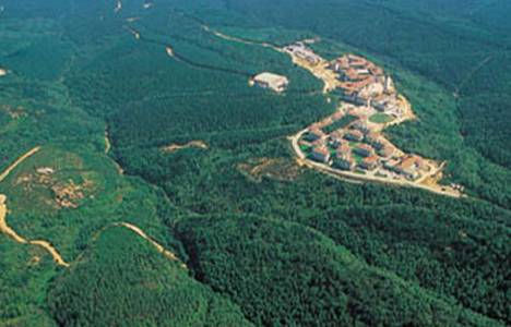 Orman Sınırları Dışına Çıkarılacak Yerler Hakkında Yönetmelik!