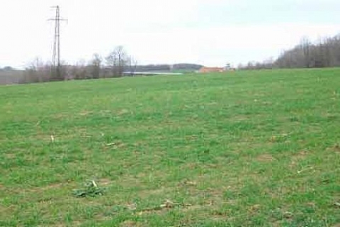 Tokat Erbaa'da 885 bin TL'ye satılık tarla!