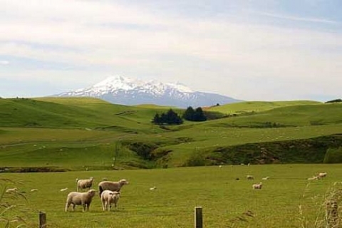 İlk Akıllı Ova, Söke'ye kuruluyor!
