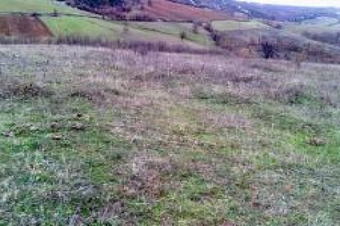 Bursa'da 49 yıllığına kiralık 3 eski hava alanı ve tarla!