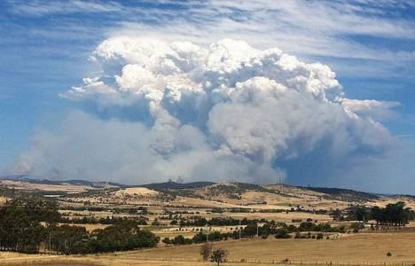  Tazmanya Adası yangınlardan dolayı boşaltılıyor!