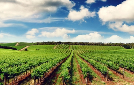 tarım arazileri kanunu