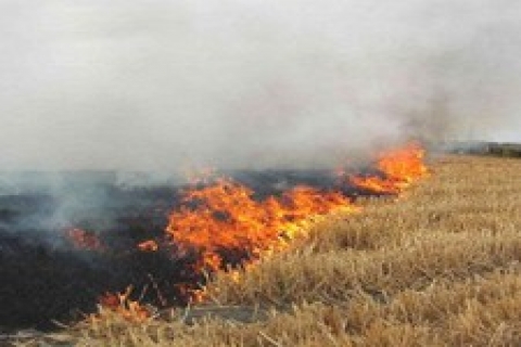 Türkiye 'de 4 milyon hektar anız yakıldı!