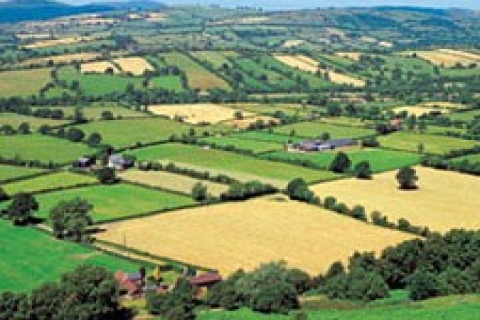 Ziraat mühendisleri çukurova'da havaalanı istemiyor!