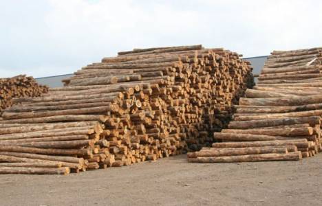 Konut fiyatlarının artması, kereste fiyatlarını da yükseltti!