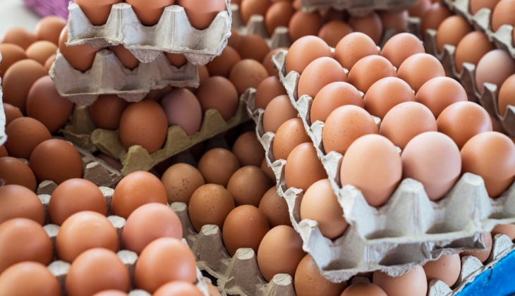 Yumurta fiyatlarında artış hızlı tırmanıyor! Yüzde 50'leri bulan artışta bakın son durum ne?