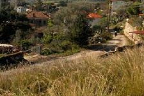 Manisa'da 50 yıl süren arazi davasını köylüler kaybetti!